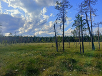 Крыша Карелии (национальный парк Паанаярви)