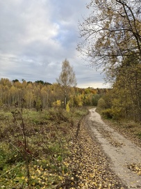 Усадьба Дубровицы и высокие берега Пахры