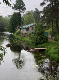 Трекинг по Оредежским берегам
