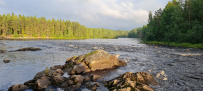 Сплав по реке Шуя