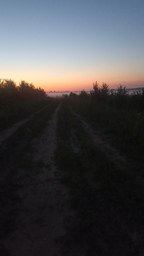 Пеший поход «Пантелеево болото да река Сестра»