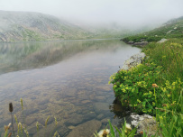Горный лагерь «Турецкая Швейцария»