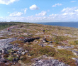 Белое море на морских каяках (байдарках): Карельский берег
