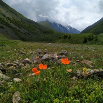 Горный лагерь в Безенги