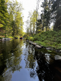 Соловецкие Острова в Белом Море (экскурсии + поход)