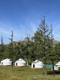 Горный лагерь в Актру (проживание в домиках)