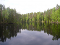 Сплав по реке Шуя