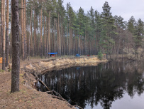 Сплав по реке Поля «Cквозь лес на байдарках»