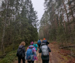 Однодневный пеший поход «Северный лес Подмосковья»
