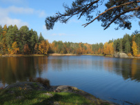 Крыша Ладоги