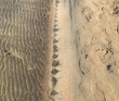 Колвица на морских каяках (байдарках). Путешествие на землю Саамов