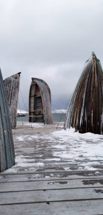 Зима за Полярным кругом (Териберка)