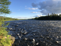 Сплав по реке Умба
