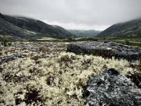 Хибины – отпуск за Полярным Кругом