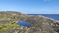 Сплав по реке Кереть и Белое море