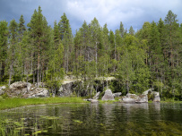 Сплав по реке Писта (Пистайоки) на байдарках