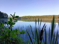 Пеший поход к Московскому морю