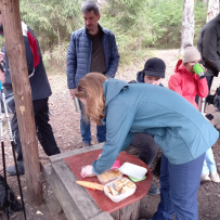 Трекинг по Оредежским берегам