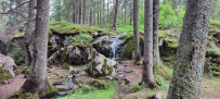 Ландшафтные театры Карелии
