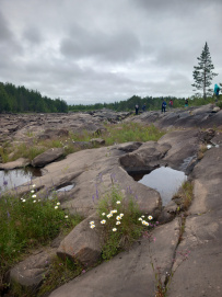 Петроглифы Беломорья
