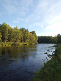Сплав по реке Поньгома