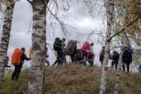 Пеший поход «Лесное путешествие» (Подмосковье)