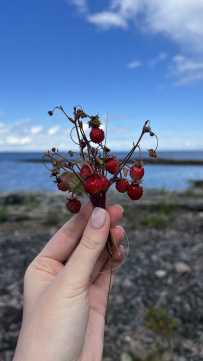 Белое море на морских каяках (байдарках): Карельский берег
