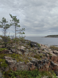 Сплав по реке Кереть и Белое море