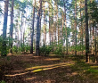 Сплав с баней по реке Клязьма