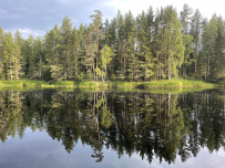 Сплав по реке Шуя