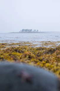 Сплав по реке Кереть и Белое море