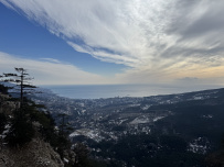 Южное цветочное путешествие: подснежники Крыма