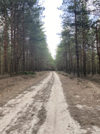 Пеший поход «В долину семи озёр»