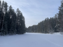 Трекинг по Оредежским берегам