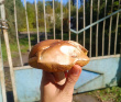 Приключения на Москве-реке (пеший поход)