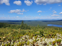 Колвица на морских каяках (байдарках). Путешествие на землю Саамов