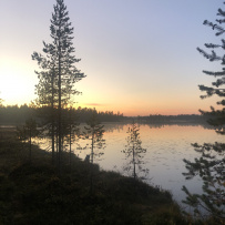 Аметистовый берег Белого моря
