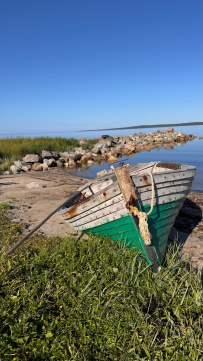 Соловецкие острова на морских каяках