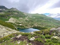 Цветущие склоны Архыза
