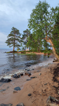 Колвица на морских каяках (байдарках). Путешествие на землю Саамов