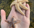 Сплав по реке Кереть и Белое море