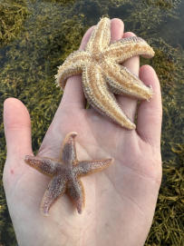 Сплав по реке Кереть и Белое море