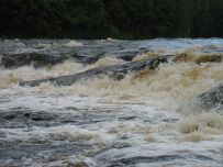 Сплав по реке Шуя