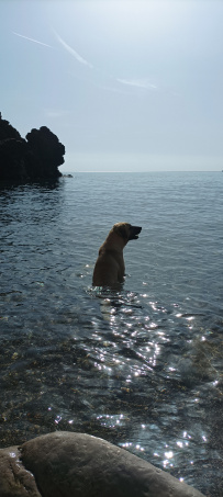 В Сердце Ликийской тропы (Поход вдоль моря, без рюкзаков)