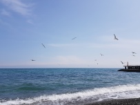 Алустон комфорт-тур