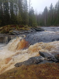 Сплав по реке Шуя Беломорская