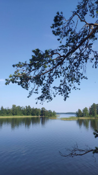 Водное ассорти с детьми: на лодках, байдарках, сапах