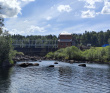 Сплав по реке Шуя