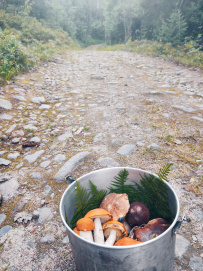 Соловецкие Острова в Белом Море (экскурсии + поход)