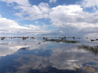 Далекий финский берег